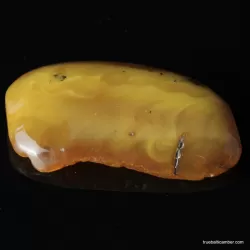 Vintage Baltic amber brooch