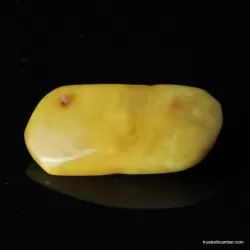 Vintage Baltic amber brooch