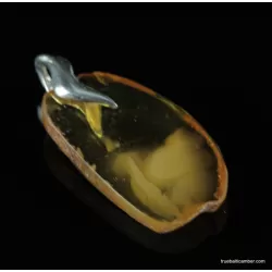 Baltic amber CARVED pendant