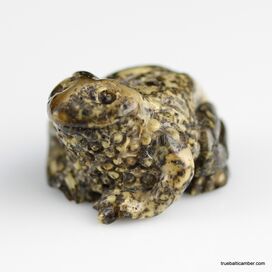 Carved Genuine BALTIC AMBER - Frog