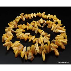 Vintage Egg Yolk Thorns Baltic amber necklace 23in