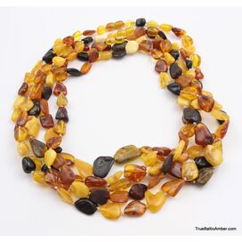 5 Multi Large BEANS Baltic amber adult wholesale necklaces