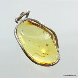 Large amulet Baltic amber silver pendant with insect inclusion 16g