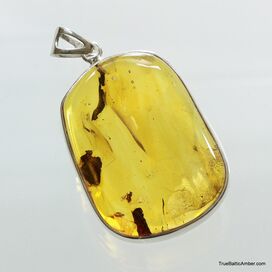 Large amulet Baltic amber silver pendant with diptera insect inclusion 16g