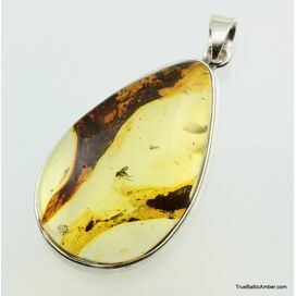 Large amulet Baltic amber silver pendant w insect inclusion 12g