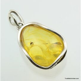 Large amulet Baltic amber silver pendant w insect inclusion 11g