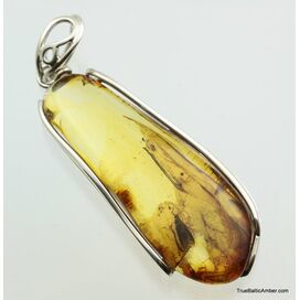 Large amulet Baltic amber silver pendant w insect inclusion 11g