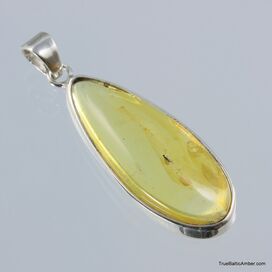 Baltic amber silver pendant w insect inclusion 8g