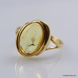 Baltic amber silver ring w gnat insect inclusion