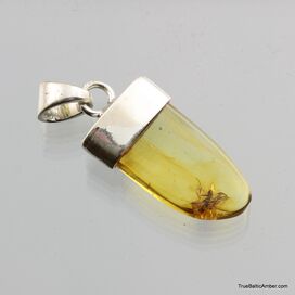 Baltic amber silver pendant w insect inclusion 4g