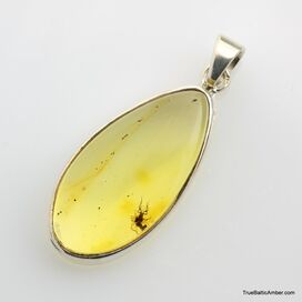Baltic amber silver pendant w insect inclusion 8g