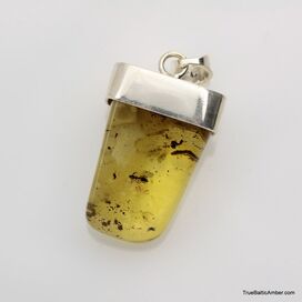 Baltic amber silver pendant w insect inclusion 11g