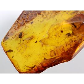 Swarm Insect inclusions in Baltic amber fossil stone