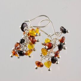 Grape bunch Baltic amber hook earrings