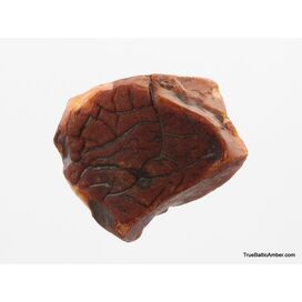 30g Raw Rough Genuine Baltic amber Stone