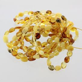 10 Mix BEANS Baltic amber adult stretch bracelets 19cm