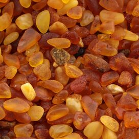 Raw Rough Baltic Amber Natural Gemstone Pebble