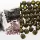Pop safty clasp