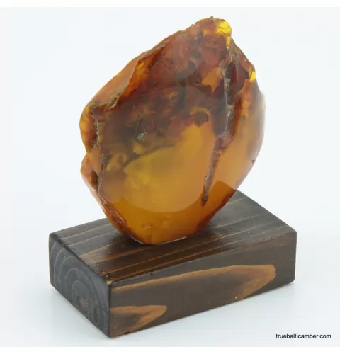 Vintage Baltic amber fossil stone w stand