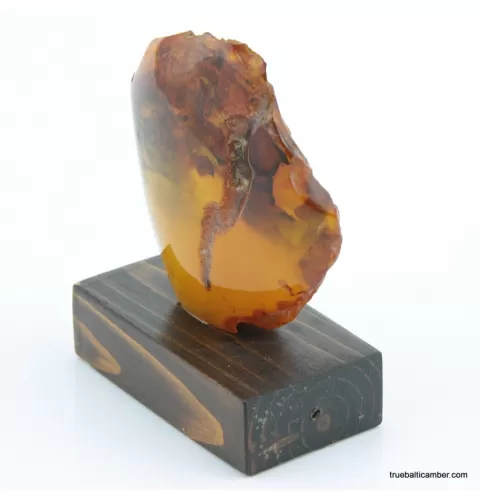Vintage Baltic amber fossil stone w stand