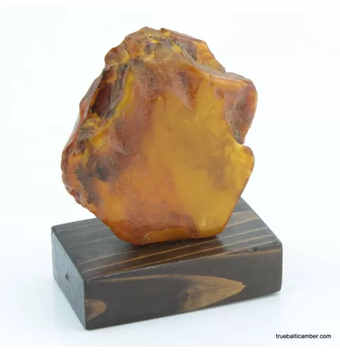 Vintage Baltic amber fossil stone w stand