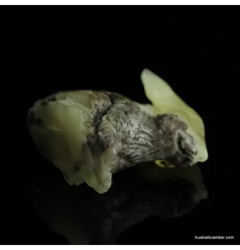 Carved Genuine BALTIC AMBER - Rabbit