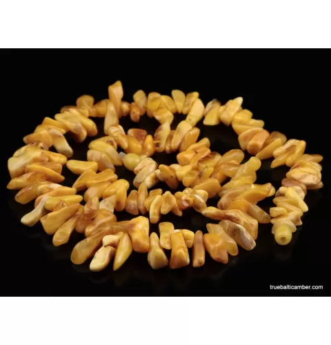 Vintage Egg Yolk Thorns Baltic amber necklace 23in