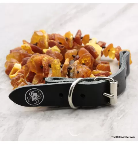 Baltic amber - unique tick repellant for Pets