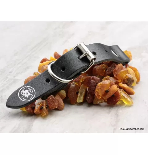 Baltic amber - unique tick repellant for Pets