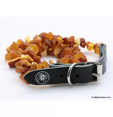 Baltic amber - unique tick repellant for Pets