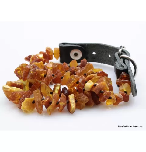 Baltic amber - unique tick repellant for Pets