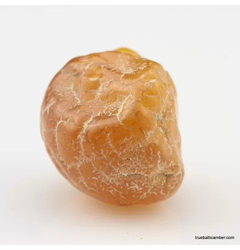 Natural rare Baltic amber resin drop with cracks