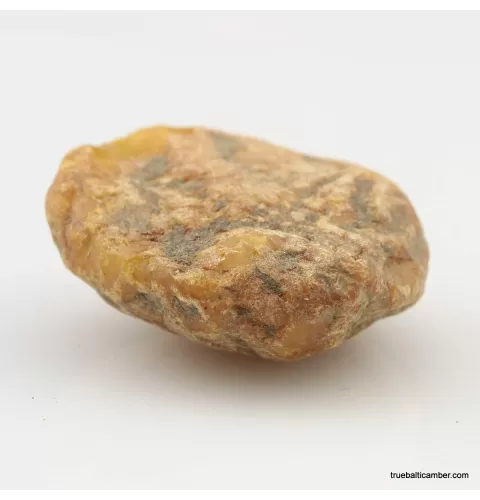 Natural rare Baltic amber resin drop with cracks