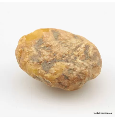 Natural rare Baltic amber resin drop with cracks