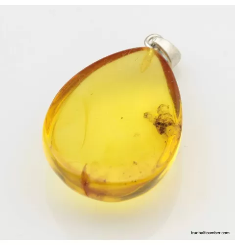 Honey Baltic amber half DROP pendant