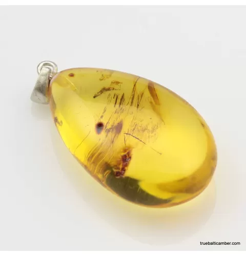 Honey Baltic amber DROP pendant