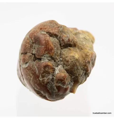 Natural rare Baltic amber resin drop with cracks