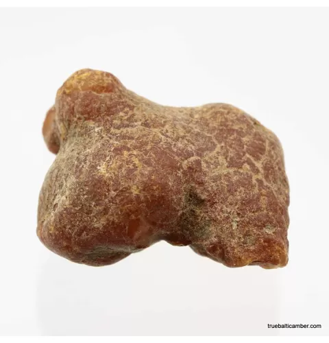 Natural rare Baltic amber resin drop with cracks