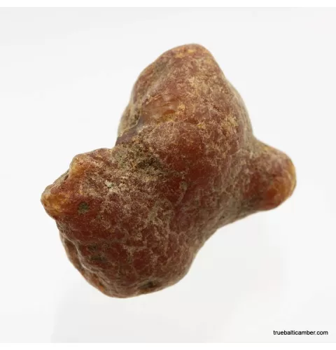 Natural rare Baltic amber resin drop with cracks