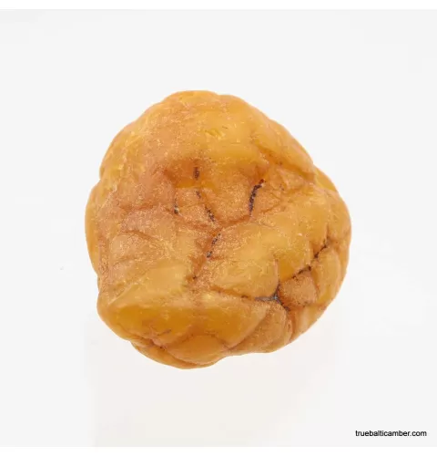 Natural rare Baltic amber resin drop with cracks
