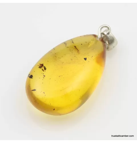 Honey Baltic amber DROP pendant