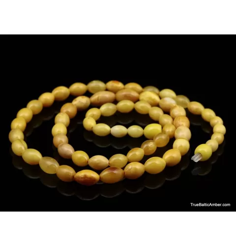 ANTIQUE Vintage Egg Yolk BARREL Baltic amber necklace 22in