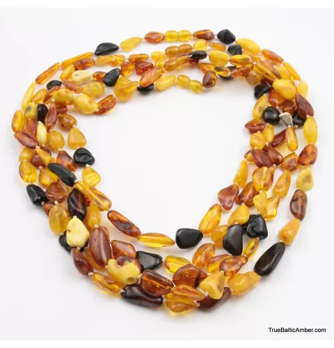 5 Multi Large BEANS Baltic amber adult wholesale necklaces