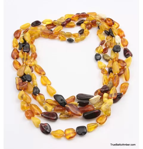 5 Multi Large BEANS Baltic amber adult wholesale necklaces