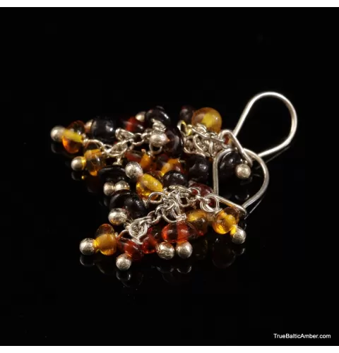 Grape bunch Baltic amber multi dangle earrings