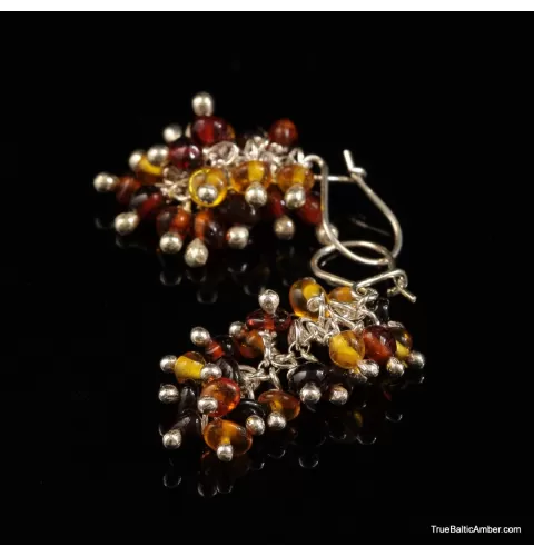 Grape bunch Baltic amber multi dangle earrings