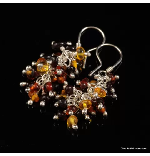 Grape bunch Baltic amber multi dangle earrings
