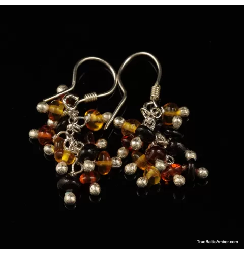 Grape bunch Baltic amber multi dangle earrings
