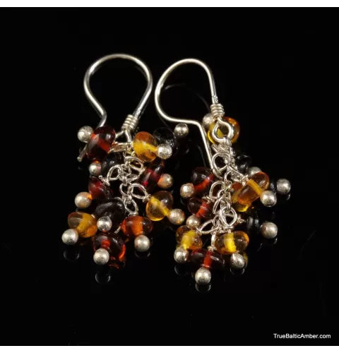Grape bunch Baltic amber multi dangle earrings