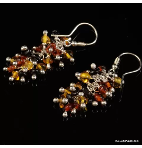 Grape bunch Baltic amber multi dangle earrings